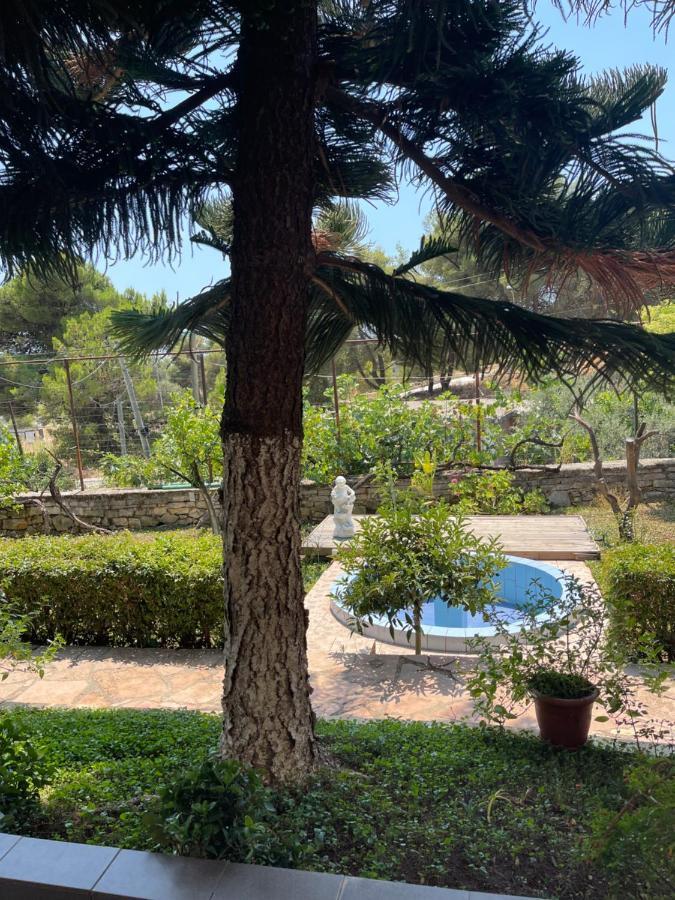 Elias Guest House Sarandë 外观 照片